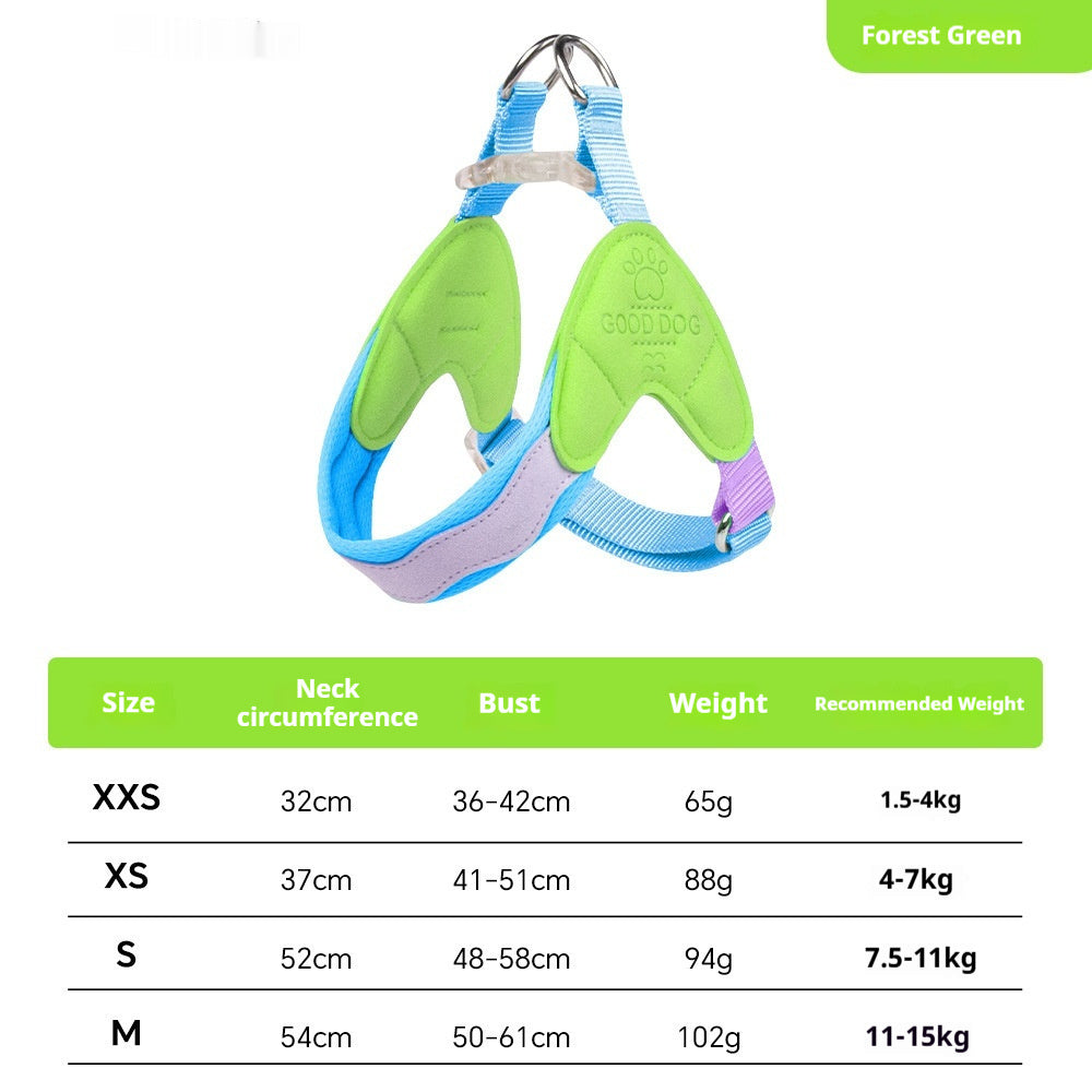stylish no-pull dog harness and leash set for everyday use