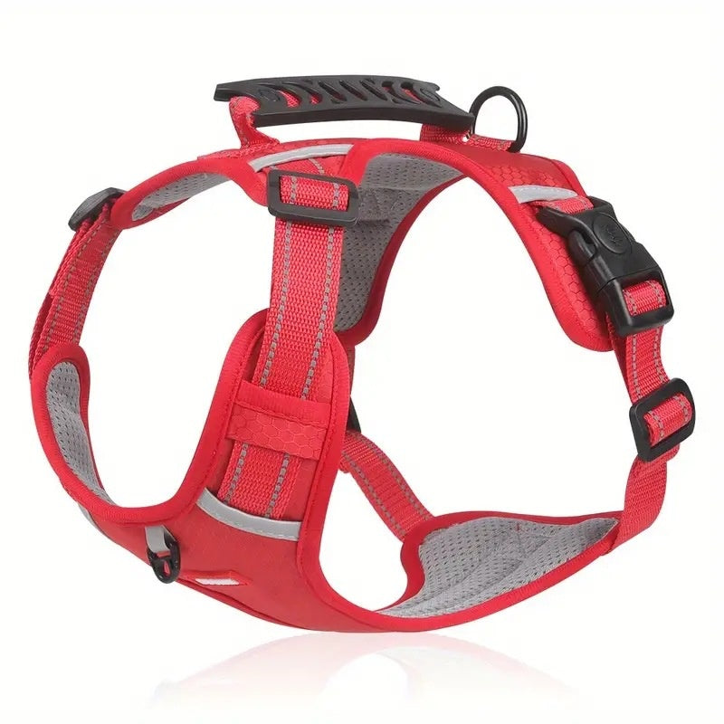 red dog harness with black straps on a white background