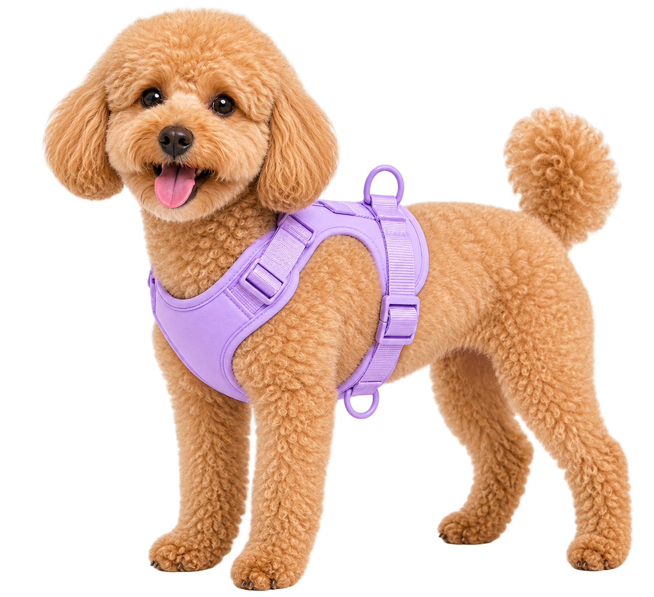 premium genuine leather dog leash for medium and large dogs front view