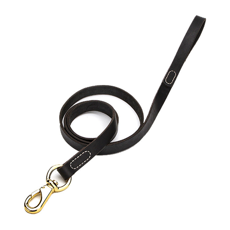 black dog leash with gold clasp on a white background