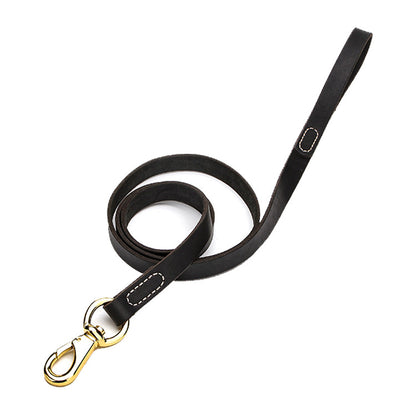 black dog leash with gold clasp on a white background