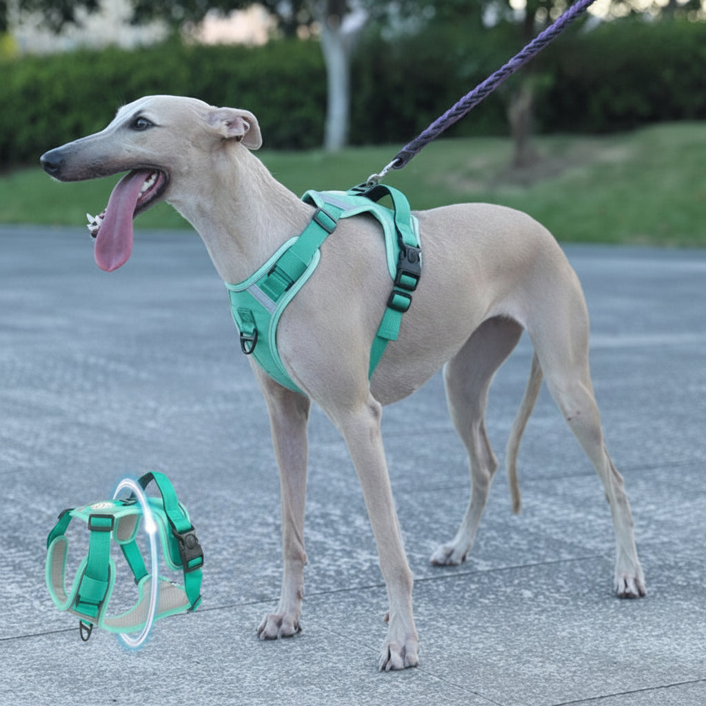 adjustable no-pull harness for large dogs