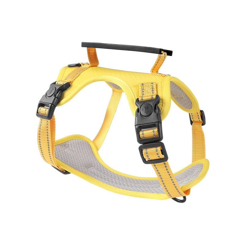 dog harness available in multiple colors