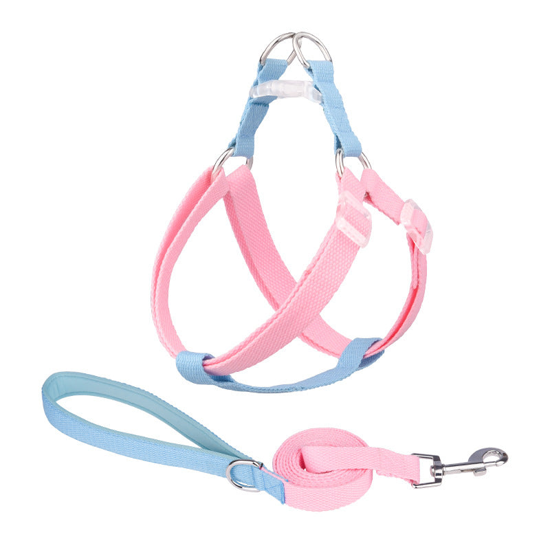 lightweight leash for puppies and small dogs