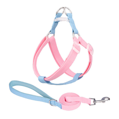 lightweight leash for puppies and small dogs