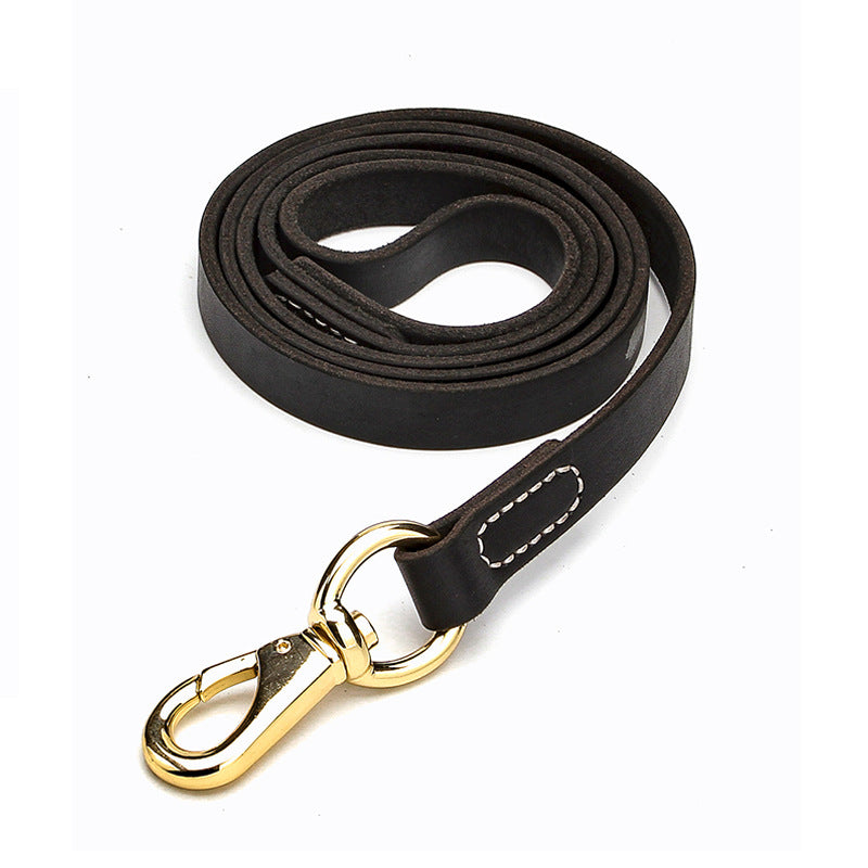 black leather dog leash with a gold clasp on a white background
