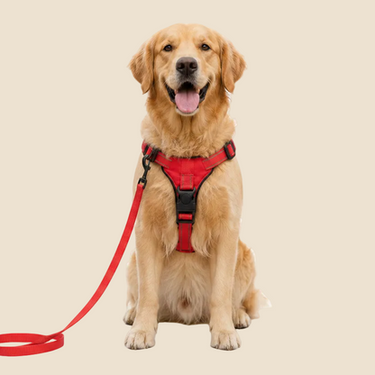 comfortable adjustable harness for dogs
