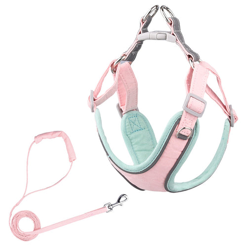 soft suede dog harness for comfortable daily walks