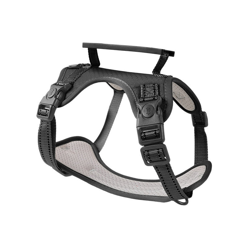 no-pull training harness for active dogs