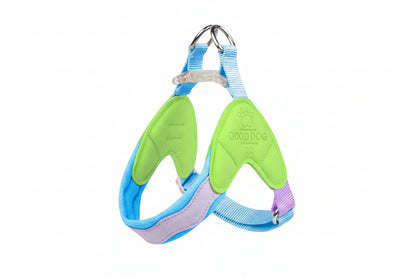 stylish no-pull dog harness and leash set for everyday use