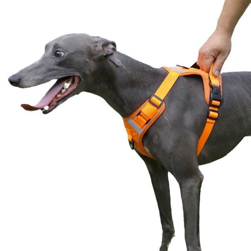 adjustable dog harness with matching leash