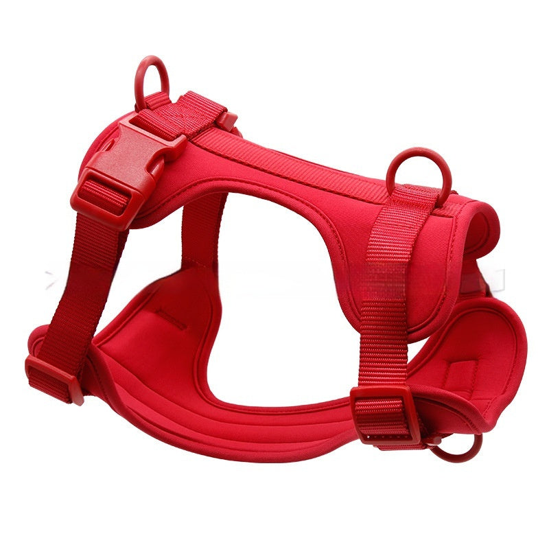lightweight dog harness for daily outdoor adventures