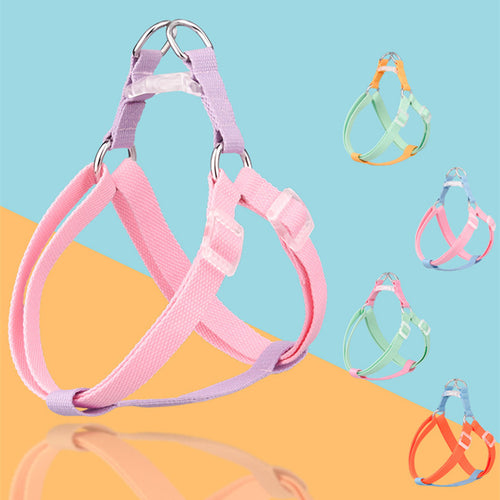 macaron no-pull dog leash for small and medium dogs