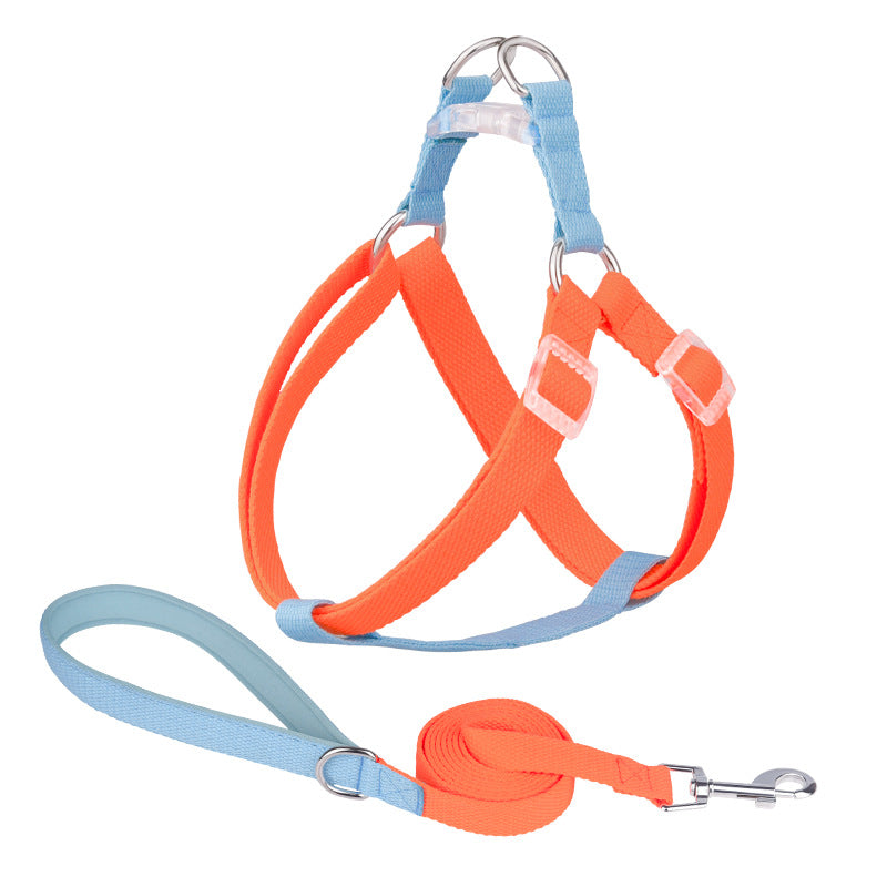 colorful dog leash with comfortable grip