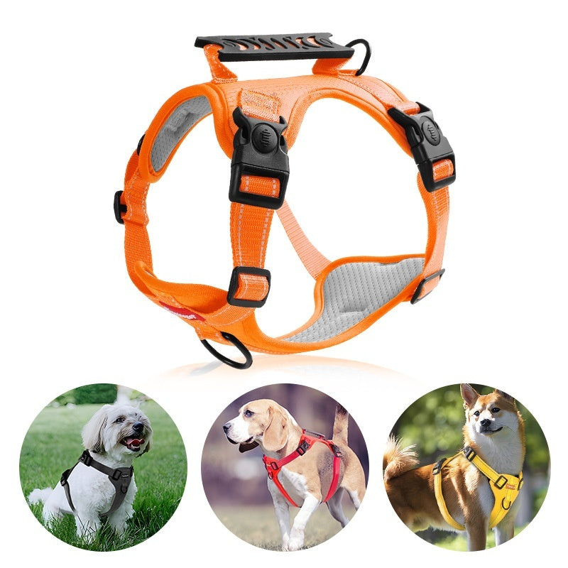 dog harness and leash set for everyday walks