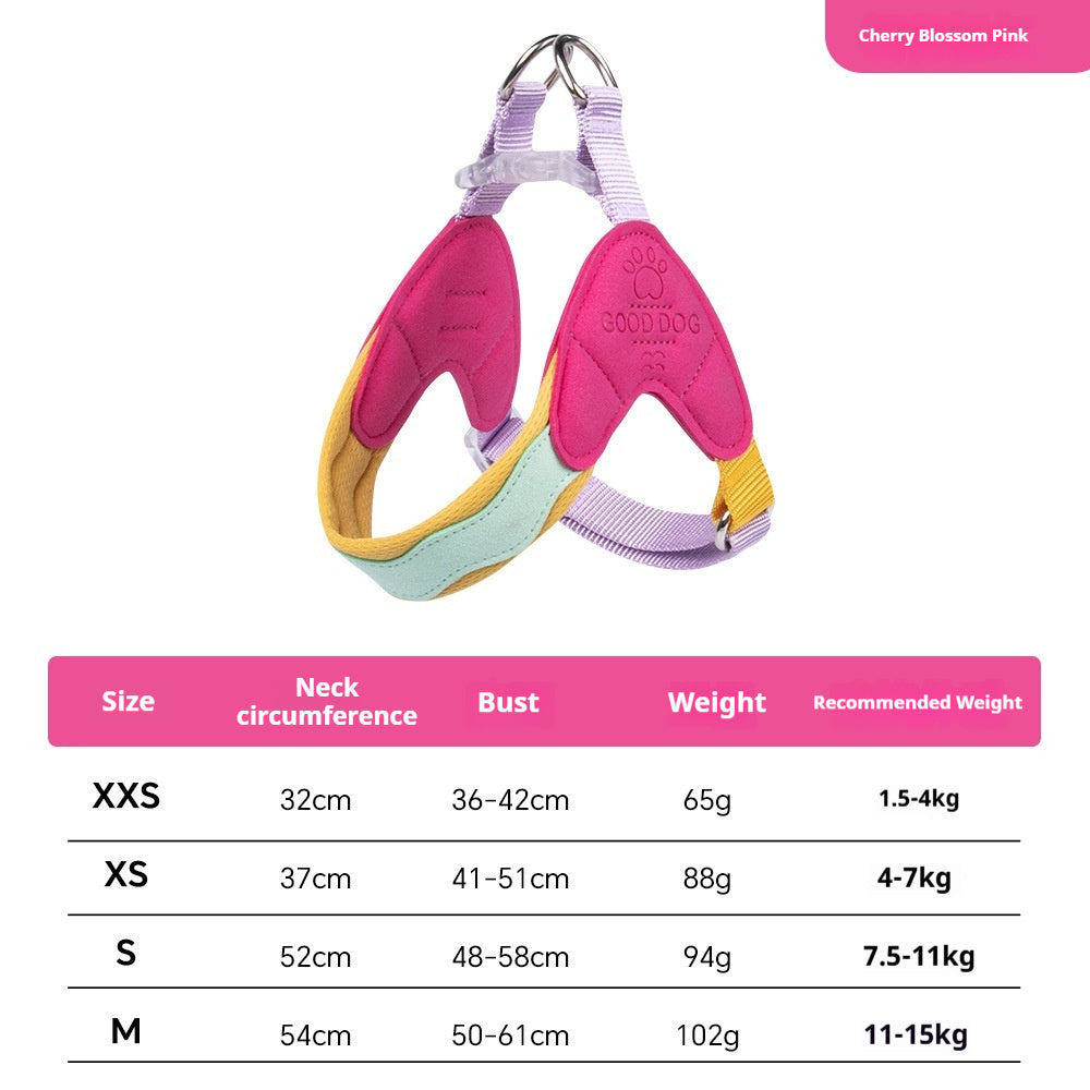 small dog harness with matching leash set