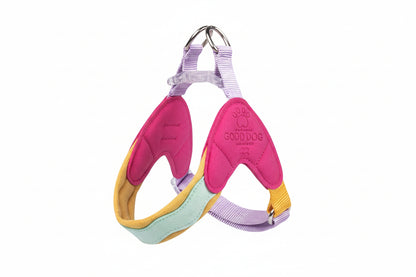 small dog harness with matching leash set