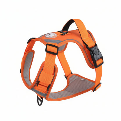 orange dog harness with size chart on an whit background