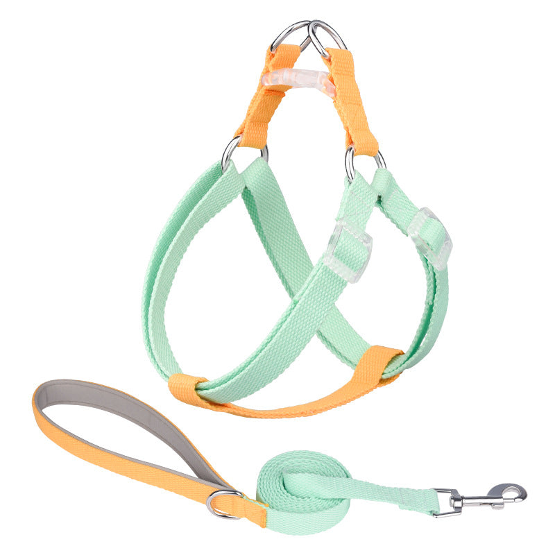 strong dog walking leash for medium-sized dogs
