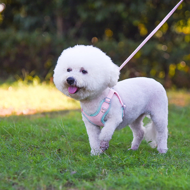 comfortable dog harness for small breed dogs