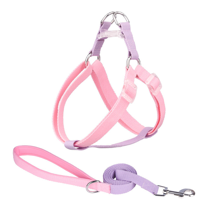 pink and blue dog leash for daily use