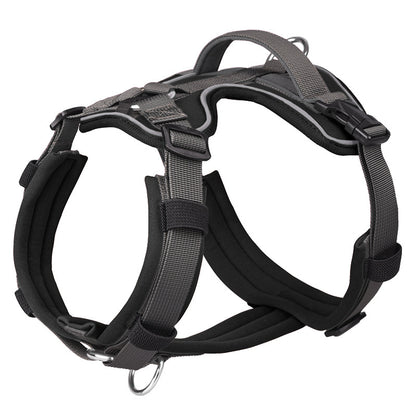 reflective dog harness for nighttime visibility