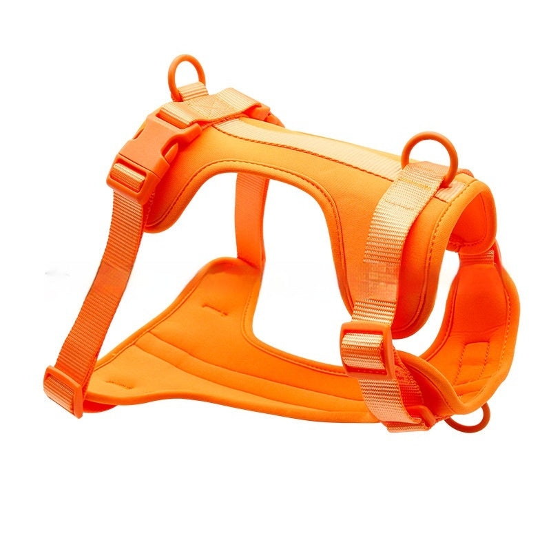 secure no-pull dog harness with adjustable straps