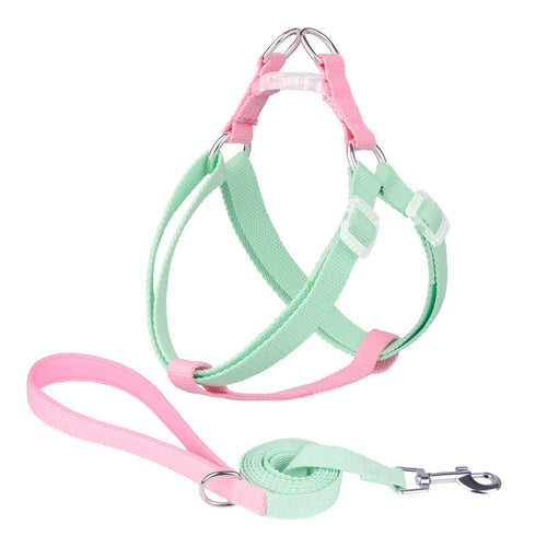 durable polyester dog leash for everyday walks