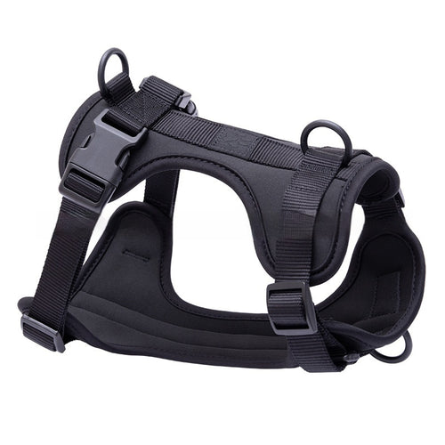soft adjustable dog harness with padded comfort